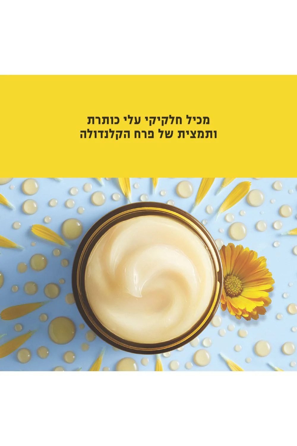 תמונה ממוזערת 2