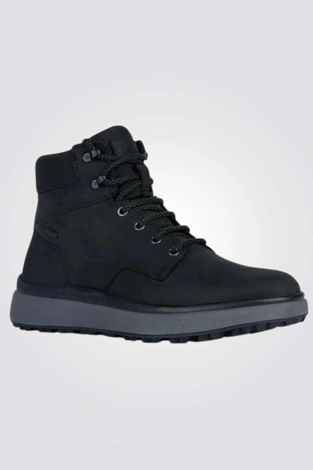 תמונה ממוזערת 2